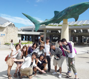 沖縄地域の観光スポットについて