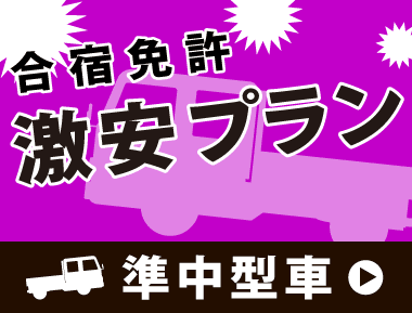 準中型の格安・最安プラン