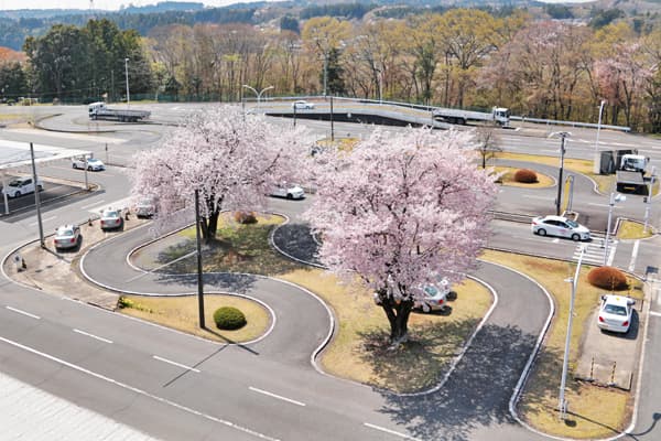 大宮自動車教習所のS字