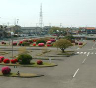 植込みの鮮やかなコントラストと見通しの良さが、教習する方に安心感を与えます♪