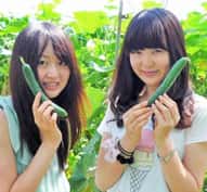 夏休みの入校特典にはプチ農業体験もあります。