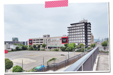 歩道橋から見た校舎