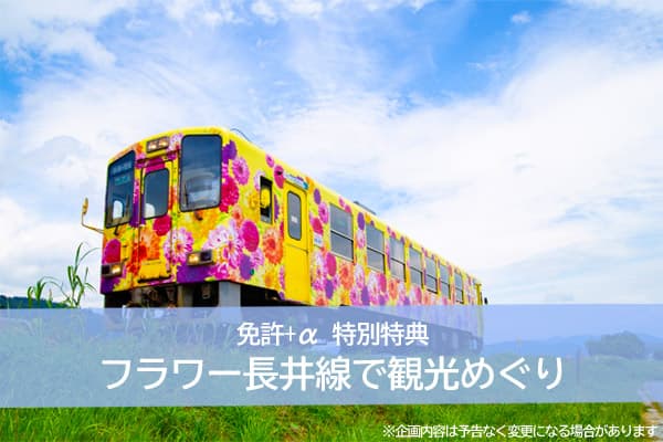 マツキドライビングスクール 白鷹校の写真（1）