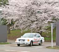 季節によっては満開の桜の下で教習できるかも？