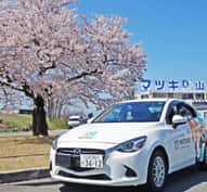 桜の木の下を走る教習車。路上教習へ乗り出すところです。