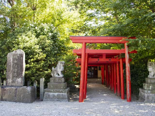 津市の写真