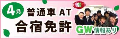 4月の合宿免許