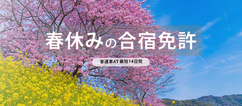 春休みプラン受付中