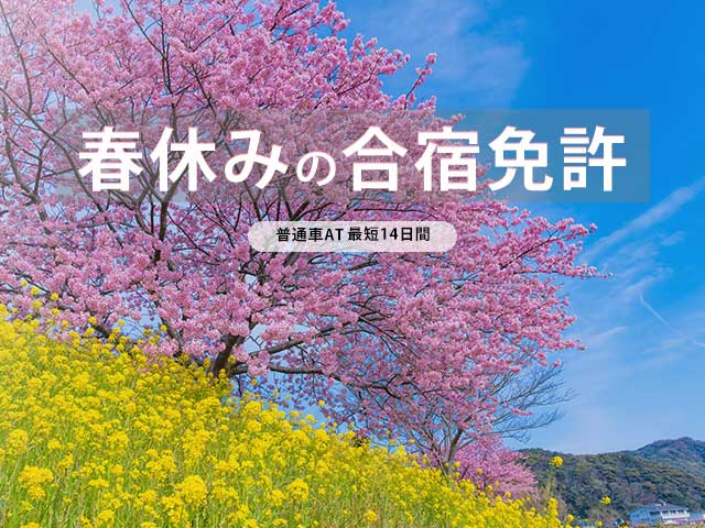 春休みプラン受付中