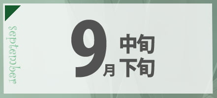 9月の合宿免許